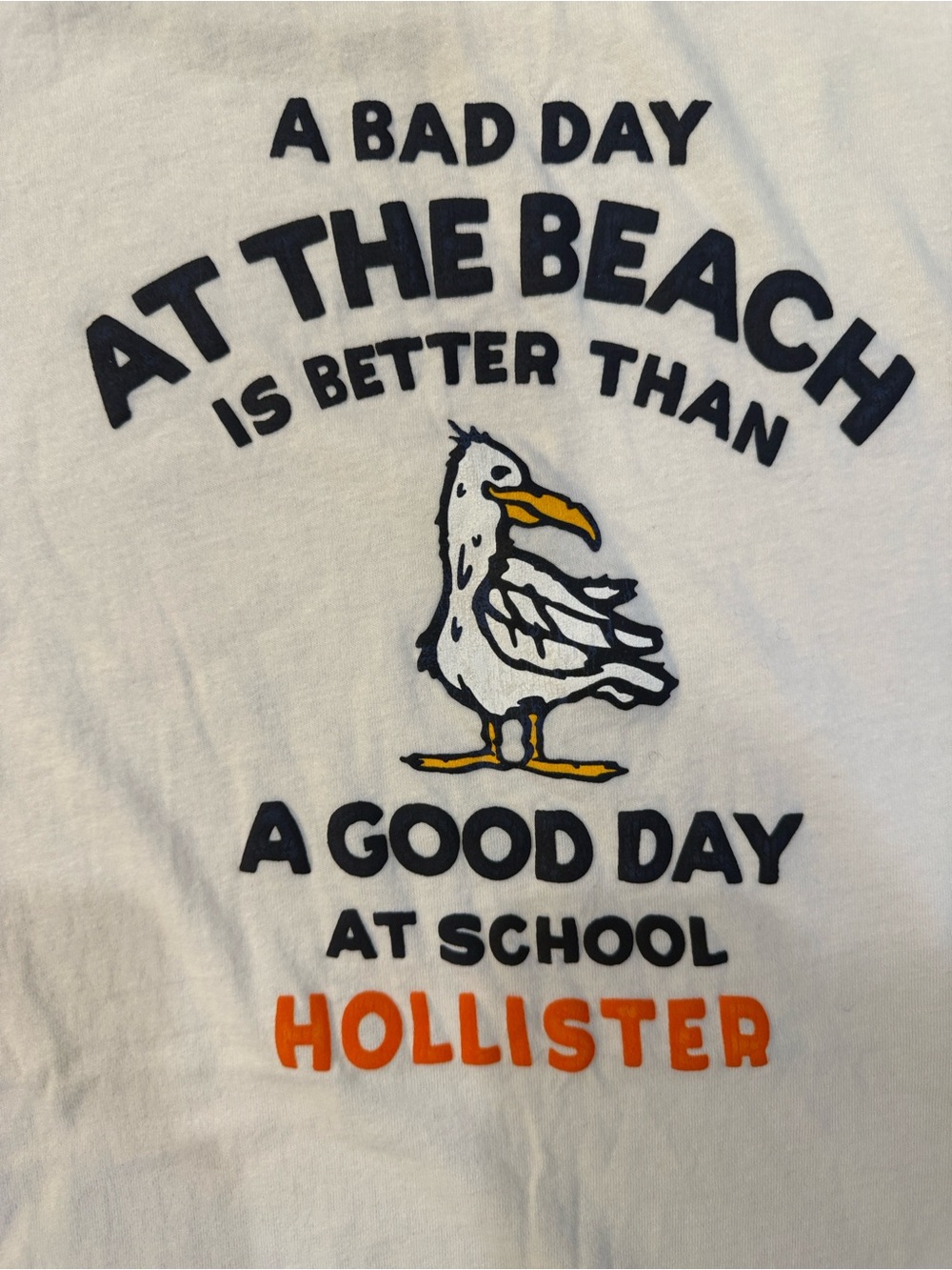 Hollister Rare Day at the Beach Shirt